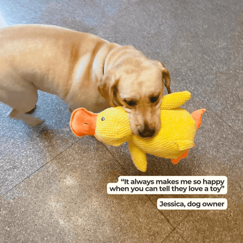 Calming Duck Toy by Wowpetsmart®-🔥 Halloween Special Buy one get one free