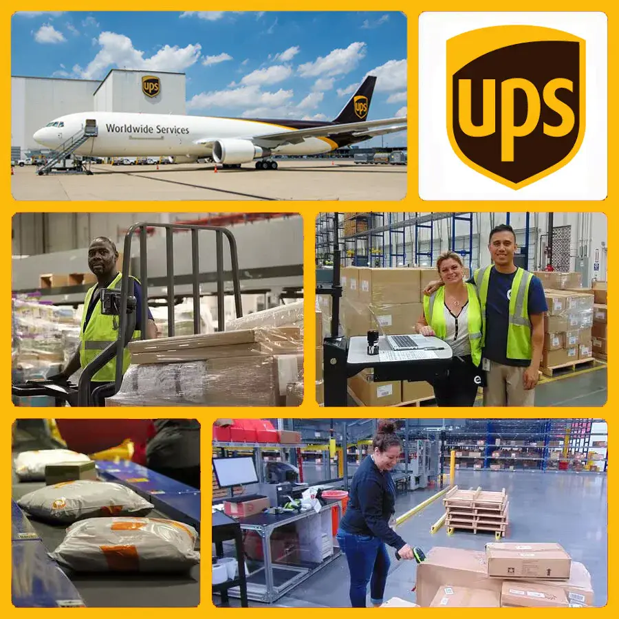 Three-grid electric pressure cooker