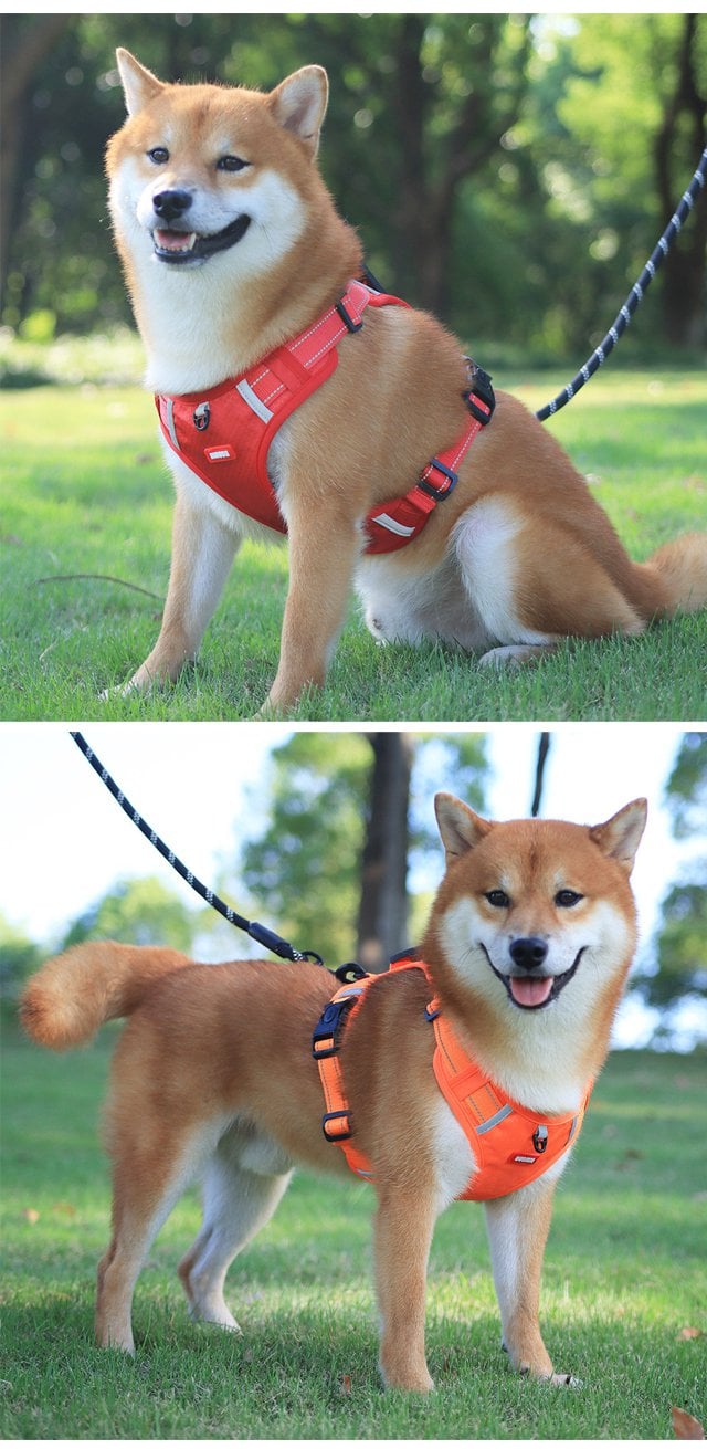 No Pull Dog Harness for Pets